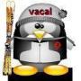 vacal