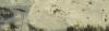 post-2403-0-80137300-1423316146_thumb.jpg