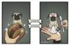 post-5805-0-44554000-1424548288_thumb.jpg