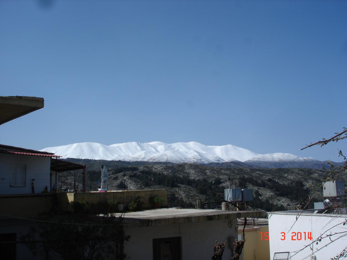 post-2098-0-34267500-1395146467.jpg