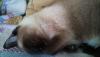 post-3-0-02383100-1341824864_thumb.jpg