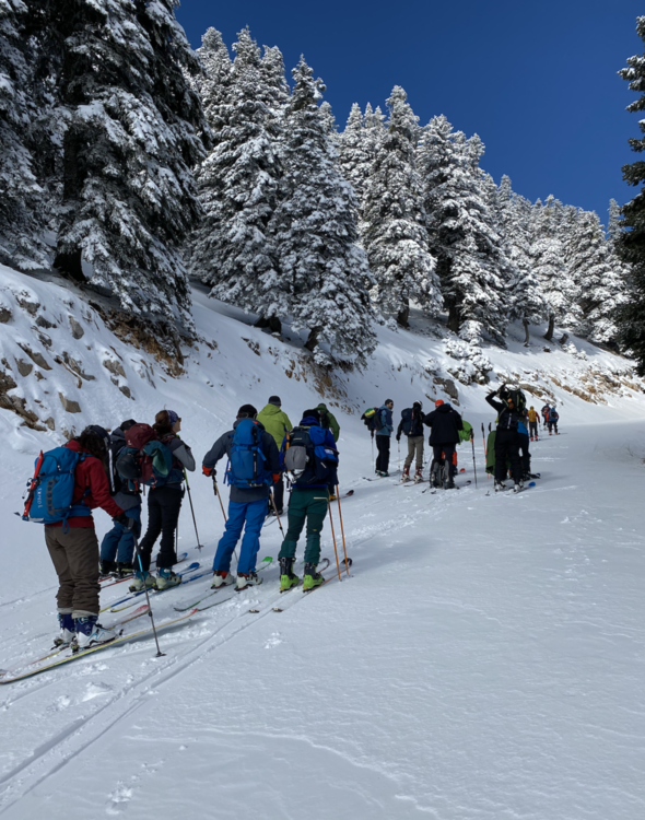 Helmos Ski Touring Classic II 2.png
