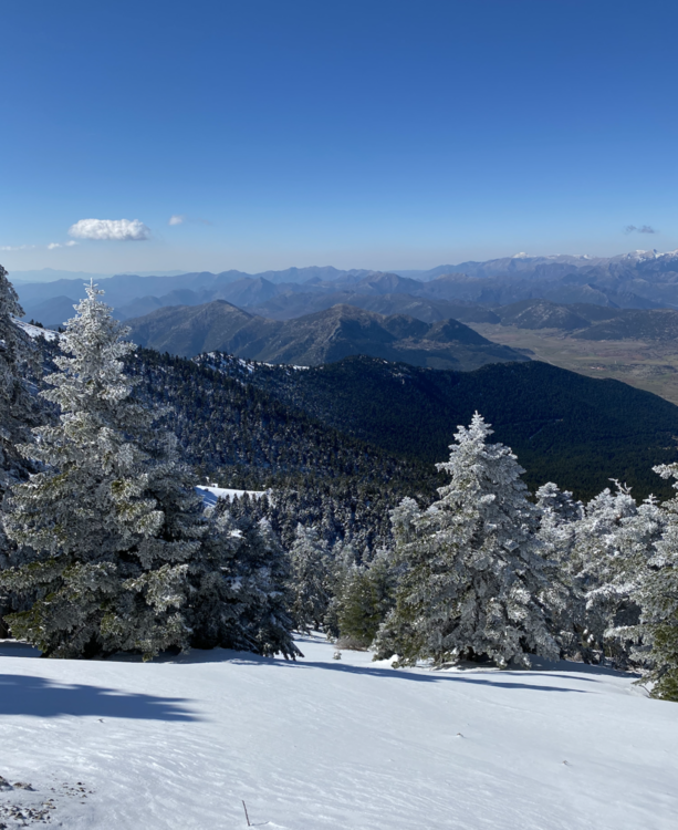 Helmos Ski Touring Classic II 1.png