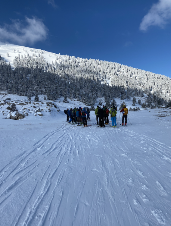 Helmos Ski Touring Classic II 4.png