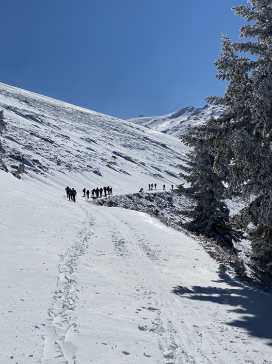 Helmos Ski Touring Classic II 7.png