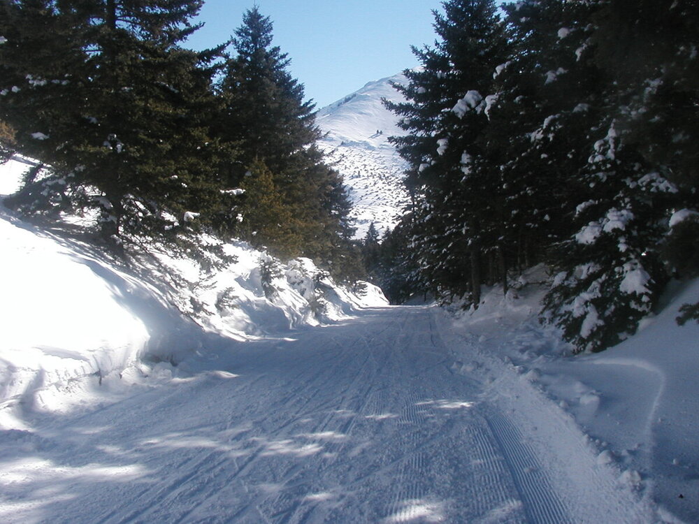 P1010038.JPG