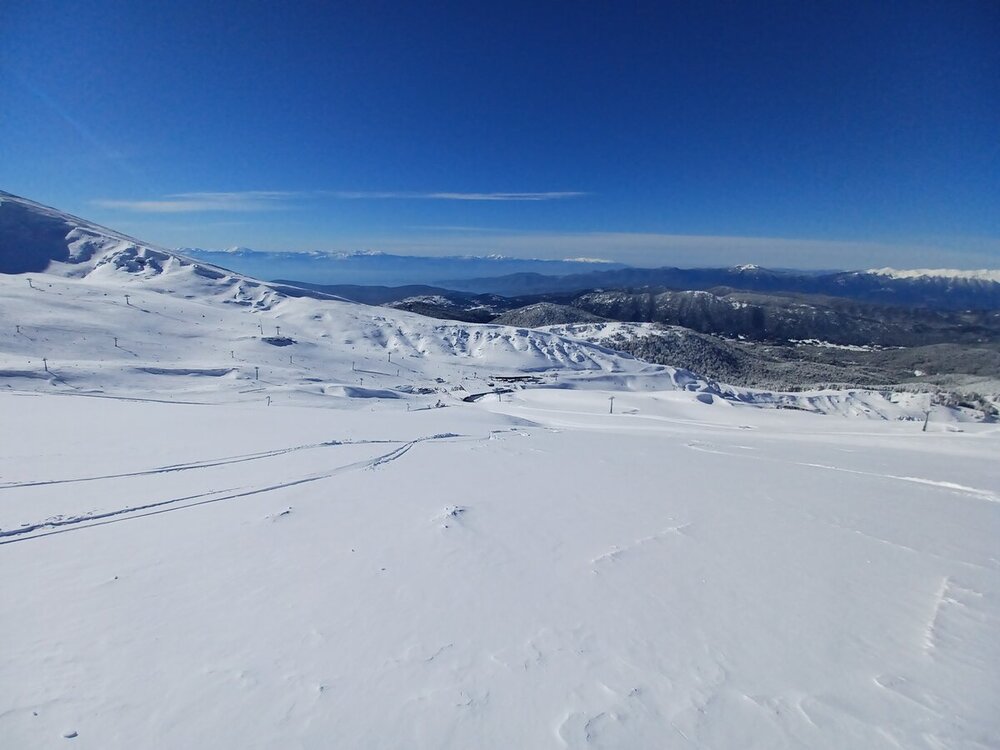 20220204_110739.jpg