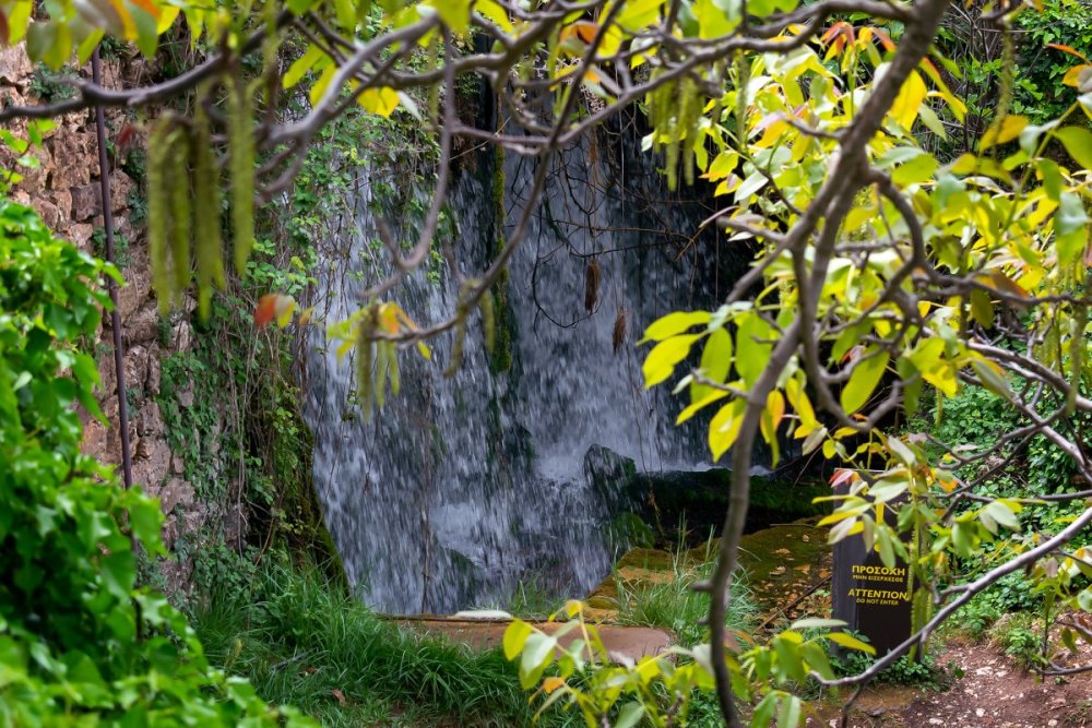 DSC_3732.jpg