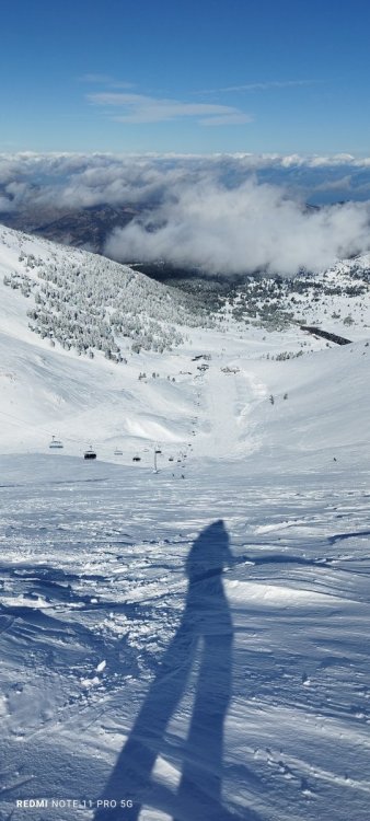IMG_20260203_115822.jpg